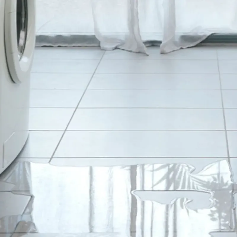 Appliance Leak Cleanup in Huntington, UT