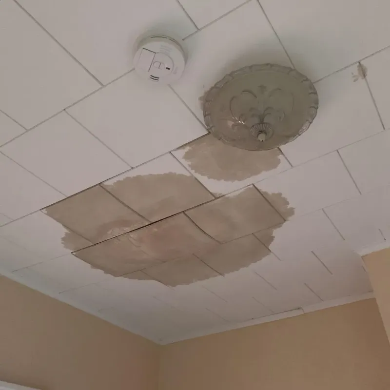 Ceiling Water Damage Repair in Huntington, UT